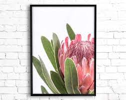Protea Print Flower Wall Art Printable Poster Digital Etsy Flower Wall Art Printable Artwork Stylish Wall Art
