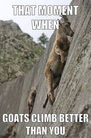 At memesmonkey.com find thousands of memes categorized into thousands of categories. 31 Climbing Memes Ideas Rock Climbing Bouldering Climbing