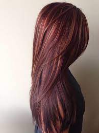 Red Brown Hair With Highlights Want Hair Styles Colored Hair Tips Long Straight Hair