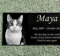 Photo Granite Memorial Plaque - Pet Memorial Stones | Pet ...