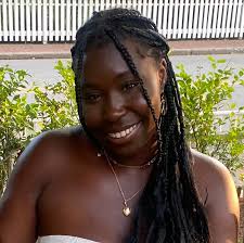 Vision fellowships aim to preserve, enrich Island life