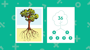 Who the tree writing mathamatis. Teaching Prime Factorization Of 36 Houghton Mifflin Harcourt