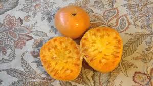 Image result for Yellow 1972 Amana