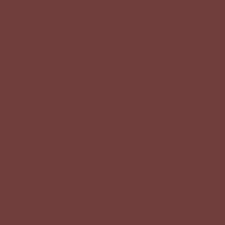 2082 10 Chestnut Paint Colour