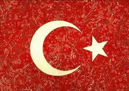 ebru sanati turk bayragi sanat bayrak turkler