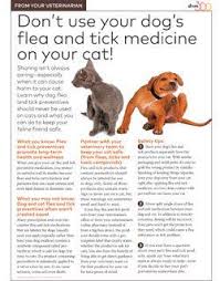Pin On Handouts For Veterinary Clients