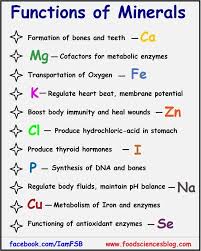 Snake Oil Supplements Details Can Be Found By Clicking On The Image Vitamins For Kids Vitamins Mineral Nutrition