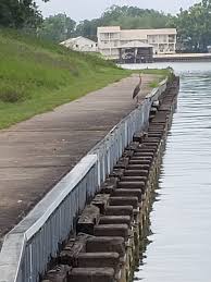 Get details of location, timings and contact. 1gr8vacation Texas Lake Livingston State Park Camping