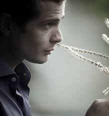 New Zealand's best nose