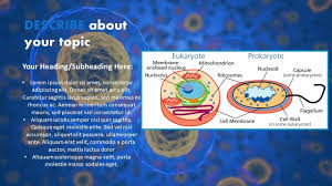 Check spelling or type a new query. Free Cell Powerpoint Template Myfreeslides