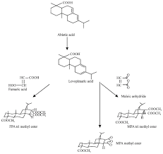 Plant For Fumaric Acid Production From Malic Acid. A Isomerization... |  Download Scientific Diagram