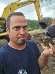 Affordable tree services in Texas