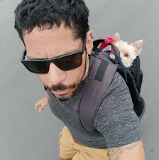 Sabes por qué el combustóleo atenta contra la salud y el medio ambiente? Te  lo explicamos. 👇 No permitas que México siga este camino, ¡firma! >>  act.gp/3etY51O