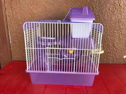 162 results for sugar glider cage. How To Build A Sugar Glider Cage