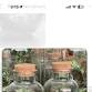 Terrarium Workshop