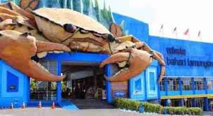 Daftar isi harga tiket masuk lembang park & zoo bandung 2021 daftar htm wahana lembang park and zoo sejak tanggal 22 november 2019, lembang park and zoo sedang mengadakan trial opening. Harga Tiket Masuk Wbl Wisata Bahari Lamongan Juli 2021