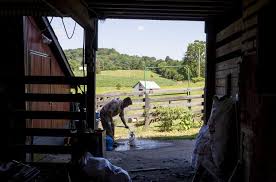 It's A Lifestyle: A Day On Zion's Farm