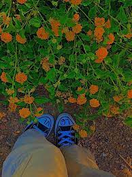 Flowers Indie Vibe Filter Aesthetic Indie Indie Kids Aesthetic Pictures