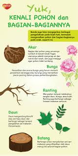Selanjutnya, membuat garis lagi dengan ukuran yang lebih besar dan harus di posisi kan pada garis lengkung yang awal tadi kita. Yuk Kenali Pohon Dan Bagian Bagiannya Dunia Smart Vidoran