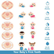 Baby Teething Signs What Are They And When Does It Start