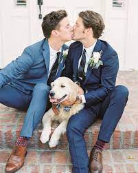 Check out these cute puppies in this compilation of funny puppy videos. 30 Dogs Of Honor That Did A Very Good Job Indeed Ruffled