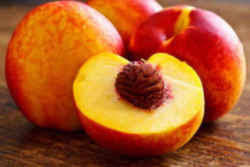 Fruit trees nursery in decatur on yp.com. Alabama State Tree Fruit Peach Rosacea Genus Prunus Species P Persica