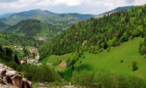 Oriunde merg am cu mine un aparat de fotografiat sau macar telefonul. AtracÈ›ii È™i Obiective Turistice MaramureÈ™ Locuridinromania Ro