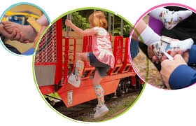 Image result for Orthopichonia