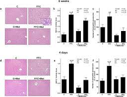 Metformin Attenuates The Onset Of Non Alcoholic Fatty Liver Disease And Affects Intestinal Microbiota And Barrier In Small Intestine Scientific Reports