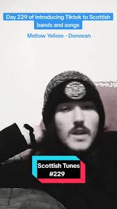 They Call Me Mellow Yellow Song