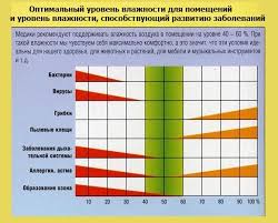 Streptokokk Infekciya Chto Gde Kogda Chto Delat Poleznye Sovety Dlya Zhizni Yandeks Dzen