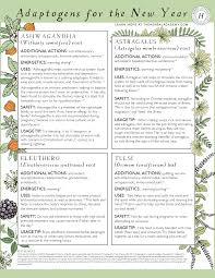 How To Ring In The New Year With Herbs Herbal Academy In 2020 Herbalism Essential Herbs Herbs For Health