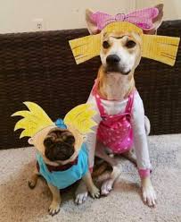 10 Costumes For Your Dog To Make Your Co Workers Jealous Petchatz Pet Halloween Costumes Pet Holiday Your Dog