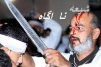 نتیجه تصویری برای عکس های سید صادق شیرازی