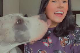 Great Dane · 38M posts On Threads