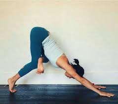 Downward Facing Dog Adho Mukha Svanasana Variation Easy Yoga Workouts Bikram Yoga Yoga Asanas