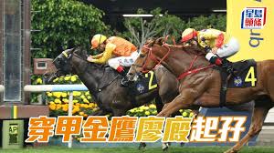 马场密探048｜「穿甲金鹰」廖厩起孖