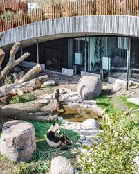 Big Completes Yin And Yang Shaped Panda House At Copenhagen Zoo Copenhagen Zoo Zoo Architecture Zoo