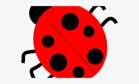 Ladybugs Clipart Red Ladybug Ladybugs Red Ladybug Transparent Free For Download On Webstockreview 2021 Top free images & vectors for red ladybug in png, vector, file, black and white, logo, clipart, cartoon and transparent. ladybugs clipart red ladybug ladybugs