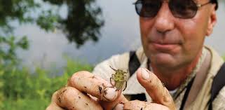 Employing Our Regional Advantage to Educate for Global Realities western  connecticut state university