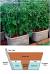 Wooden Tomato Planter