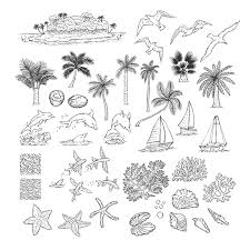Tropical fish coloring pages] 17. 625 Porpoise Stock Illustrations Cliparts And Royalty Free Porpoise Vectors