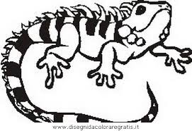 Cartoni animati, walt disney, animali, feste, natura. Disegno Animali Misti 244 Resize Animali Da Colorare