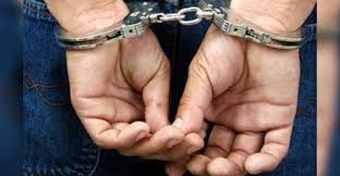Los zetas (pronounced los ˈsetas, spanish for the zs) is a mexican criminal syndicate, regarded as one of the most dangerous of mexico's drug cartels. Detienen A Dos Delincuentes Del Grupo Los Talibanes En Zacatecas Imagen Zacatecas