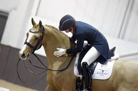 The initial program will commence with the gander west and twilite gold projects, followed by. The Beautiful Pumpkin Gio Co Owned Charlotte Dujardin Facebook