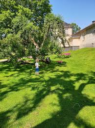 Jarsengveien 150, skien, 3719, norway. Komm Doch Mal Nach Skien In Norwegen Zuckersusse Apfel Kreativer Familienblog Und Reiseblog