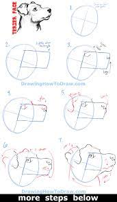 So you can follow this easy step by step guide to drawing this dog and after that, you can go ahead and try to draw your very own dog. How To Draw A Terrier S Face Dog S Face With Easy Steps How To Draw Step By Step Drawing Tutorials Dog Face Drawing Dog Drawing Tutorial Drawing Tutorial