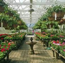 Pin On Farmer Florist
