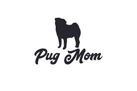 Download Pin On Free Business Card Design SVG Cut Files