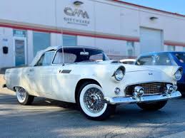 Image result for Snowshoe White 1955 Thunderbird